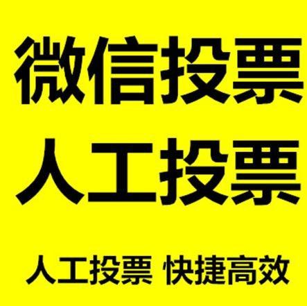 大连市投票活动拉票能被查出来吗？如何操作能不被发现？